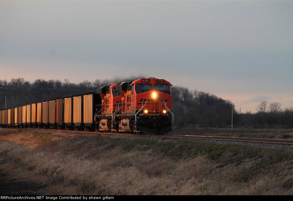 BNSF 6019"leads a load of ucex coal.